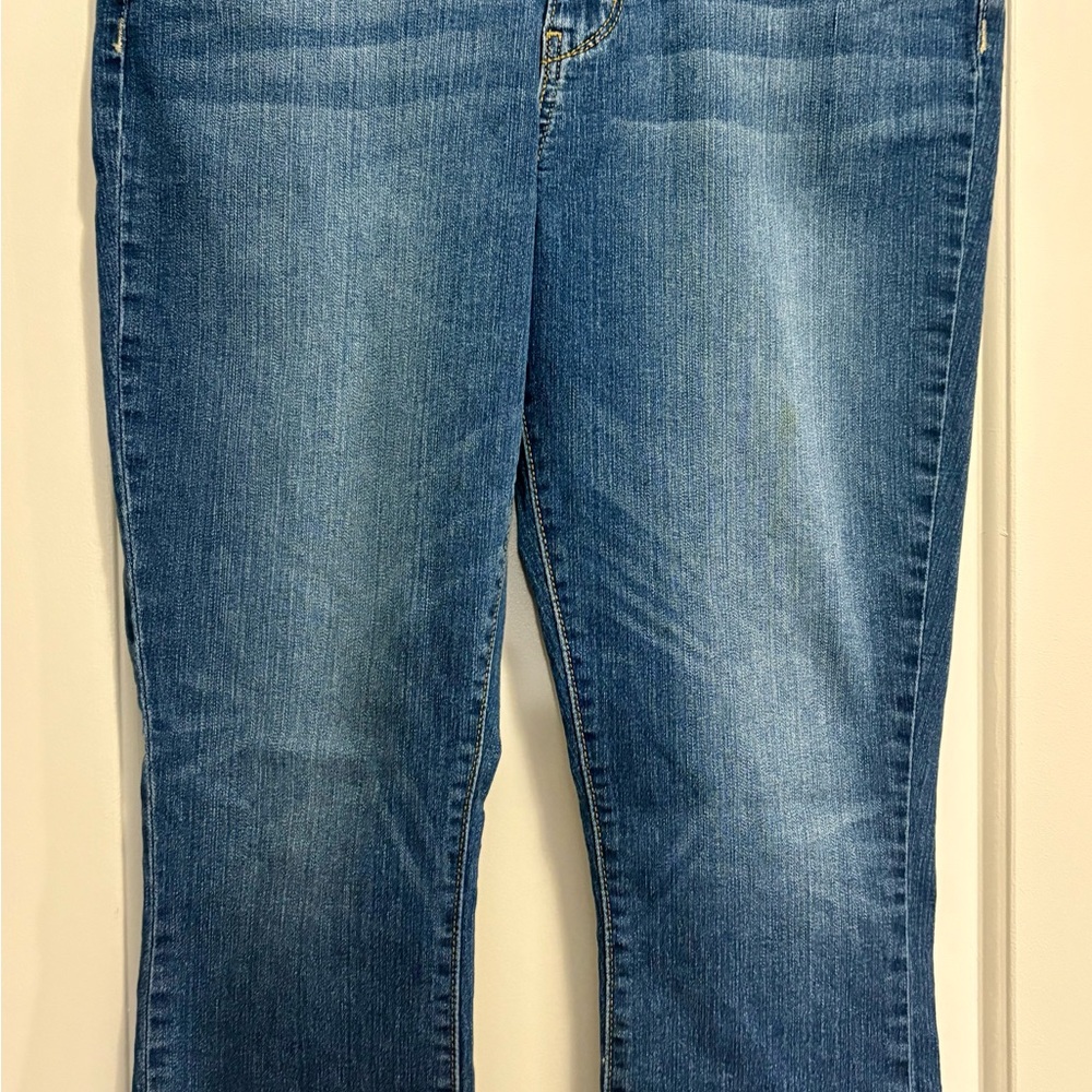 Signature by Levi Strauss Blue Capris - Picture 1 of 3